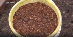 Заправляем грядки в теплице под выращивание овощей. Дачные сезоны