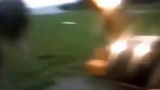 Екскаваторщик на рыбалке смотреть онлайн