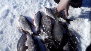 Зимняя рыбалка. Сын с папой на рыбалке на Горьковском море.