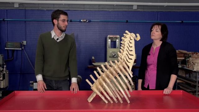 T. rex Model Lesson for Adaptations and Fossils: MEA 4th Grade Series смотреть онлайн