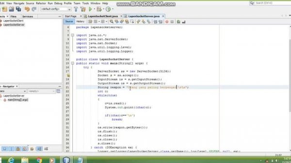 Client Server Program in Java (NetBeans) using socket