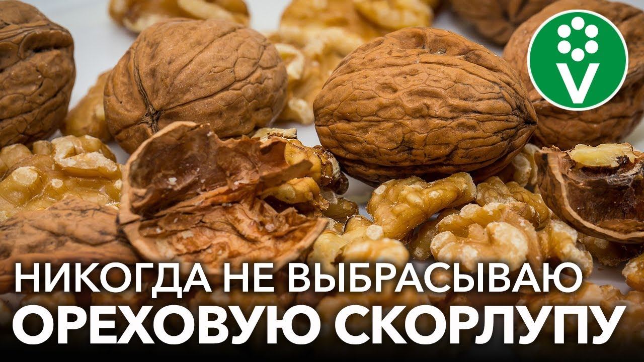 УДИВИТЕЛЬНЫЕ СВОЙСТВА СКОРЛУПЫ ГРЕЦКОГО ОРЕХА! Как применять скорлупу с пользой для здоровья и сада смотреть онлайн