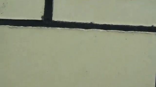 Архитектурные Вдохновения