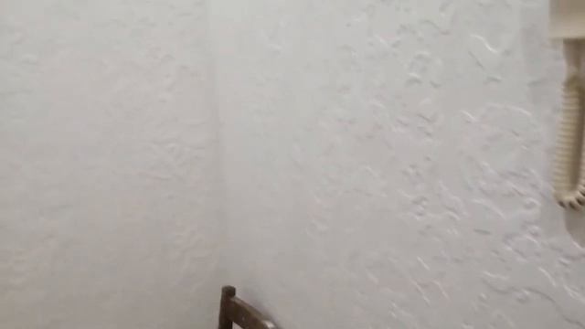 1000 линий + гротто