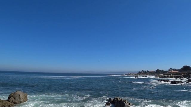 США 5405: Pacific Grove - небольшой тихоокеанский курортный городок - съемка с дрона смотреть онлайн