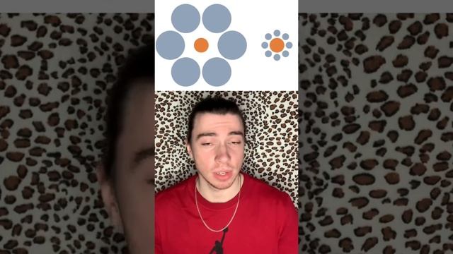 Иллюзия Эббингауза с окружностями смотреть онлайн