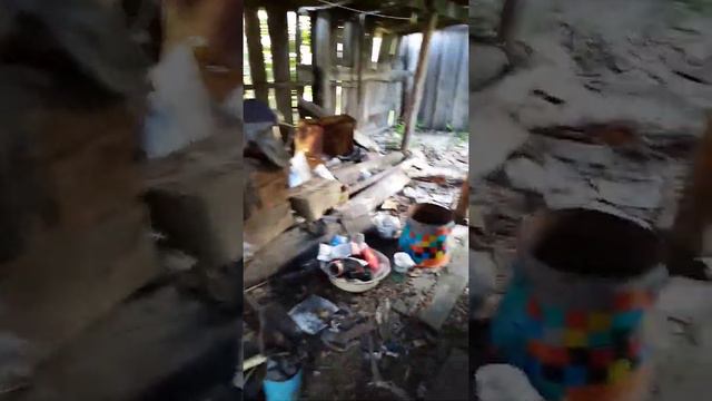 Восход в июне смотреть онлайн