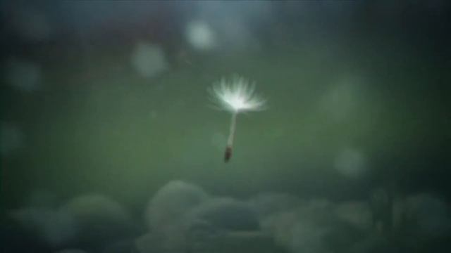 Александра ТААН - Тени снов. Автор видео и музыки - Александр Травин