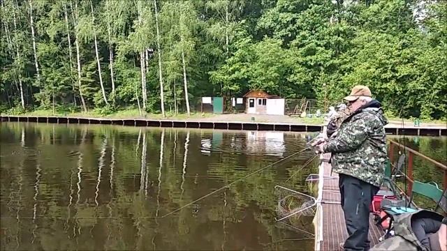 Масса поимок форели на спорт-зоне, но не у всех... Клёвое место, Лосиный остров. смотреть онлайн