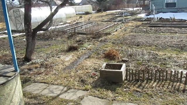 Дачные новости, 10 апреля 2021 года