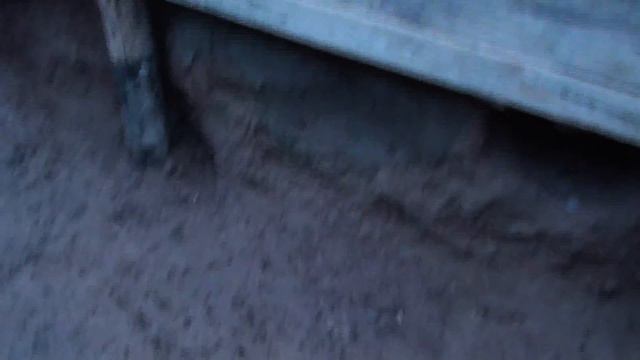 Большая яма для кроликов (ч.6…) смотреть онлайн