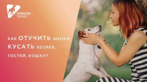 Как отучить щенка кусать хозяев, гостей, кошку?