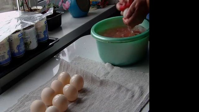 Инкубация мускусных уток смотреть онлайн