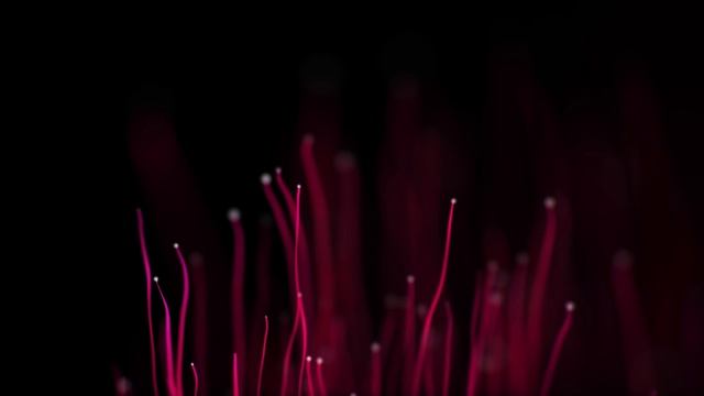 Trapcode Particular Test 002 смотреть онлайн
