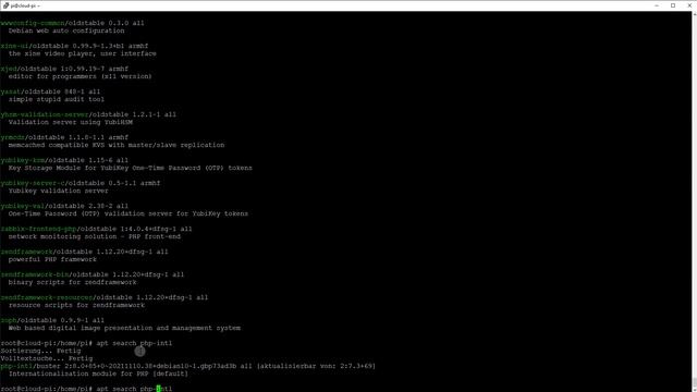 Update auf PHP 8.0 [überarbeitete Version] | Nextcloud bauen mit Jet #17 смотреть онлайн