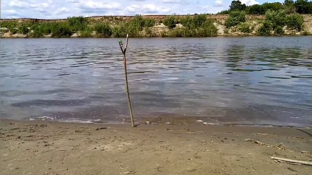 Рыбалка с обеда. Фидер и донки. Рыба разнообразная. Алтайский край река Чумыш. смотреть онлайн