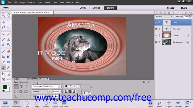 Photoshop Elements 12 Tutorial Text Basics Adobe Training Lesson 11.1 смотреть онлайн