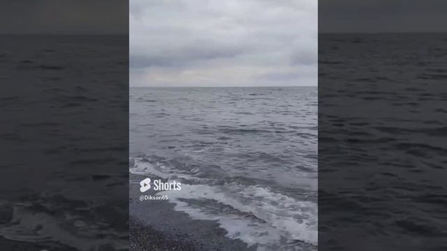 Рыбалка на Черном море , ловля ласкиря , морской карась #shorts