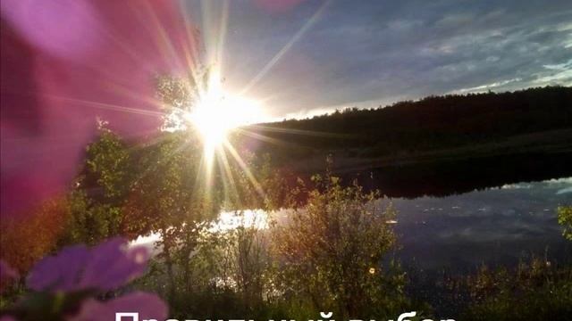 Правильный выбор смотреть онлайн