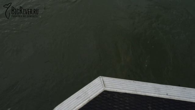 Тактика вываживания чавычи / Камчатка / река Большая / Big River / 23.06.2023 год смотреть онлайн