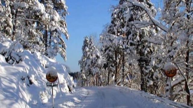 клип про природу.wmv смотреть онлайн