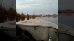 Мкм ветерок 8