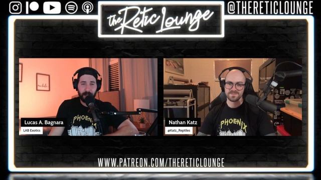 MYTHBUSTING RETICULATED PYTHONS | The Retic Lounge #66 смотреть онлайн