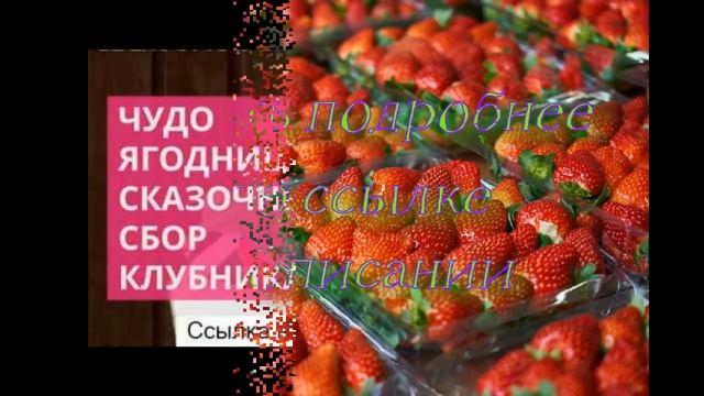 купить клубнику свежую в спб смотреть онлайн