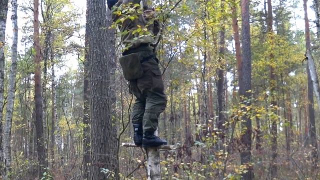 ЧАГА ГРИБ / прогулка в лесу? chaga mushroom смотреть онлайн