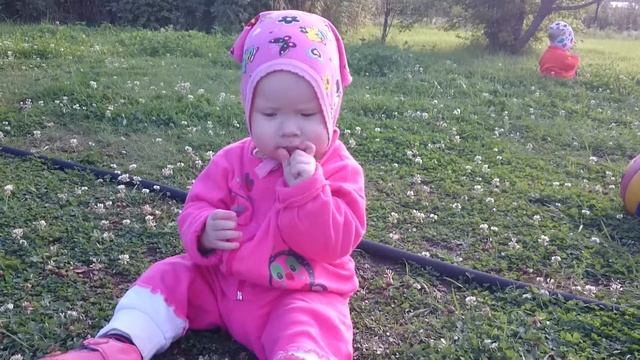 Яблоки - китайка смотреть онлайн