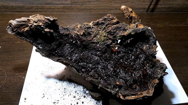 КУСАМОНО СВОИМИ РУКАМИ смотреть онлайн