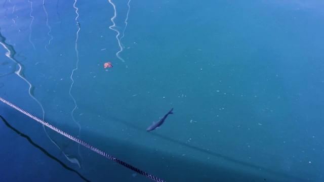 Испания Коста Бланка 2022 (Валенсия, Аликанте, Дения, Бенидорм)