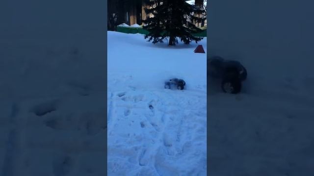 радиоуправляемая машина прыжки смотреть онлайн