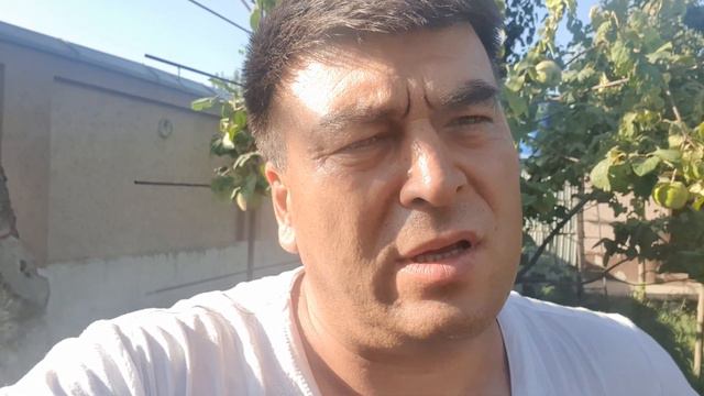 Отзыв. Нет жизненной энергии двигаться дальше. Регрессия. смотреть онлайн
