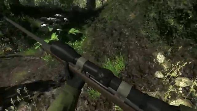 the Hunter gameplay mule deer(female) смотреть онлайн