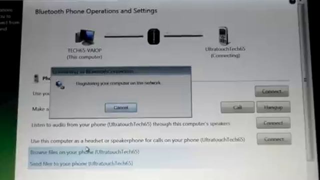 Windows Vista Mobile Bluetooth Support On Sony Vaio P