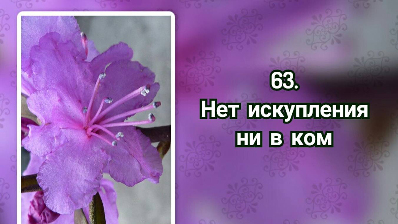 Гимны надежды 63 Нет искупления ни в ком (-) смотреть онлайн