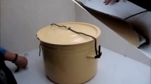 Инструкция для домашнего выращивания грибов вешенка