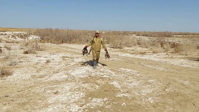 бухара кора кир дустларим билан смотреть онлайн