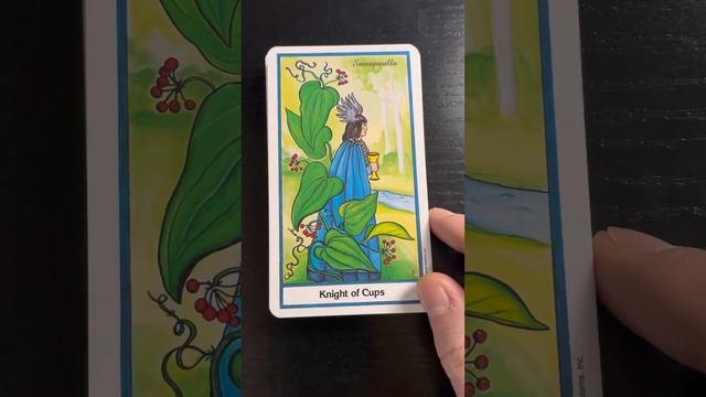 The Herbal Tarot смотреть онлайн