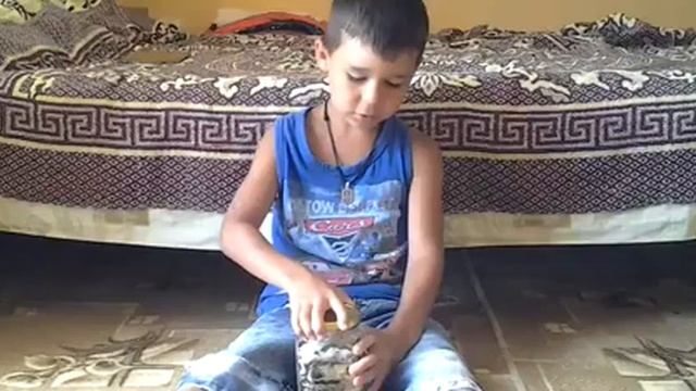 ПЕРВОЕ ВИДЕО!!! РАКУШКИ С МОРЯ! смотреть онлайн