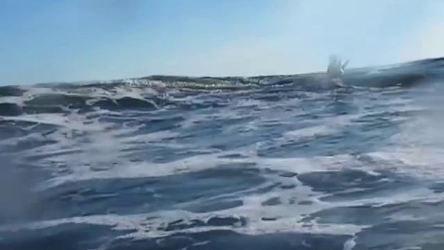 Napatree Point Kayak Surf Session смотреть онлайн