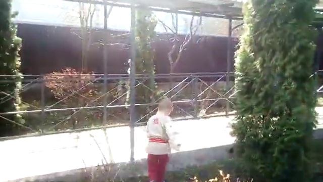 ПРАЗДНИК ЧЕРЕМШИ КРАСНОДАРСКИЙ КРАЙ! АЙ,ХОРОШО)