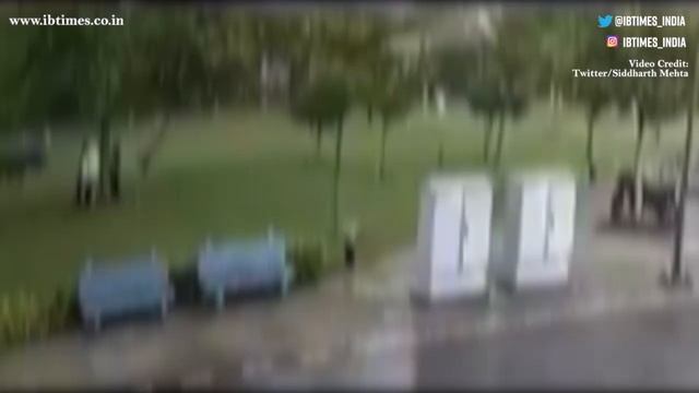 Lightning Struck four people standing under a tree in Gurugram смотреть онлайн