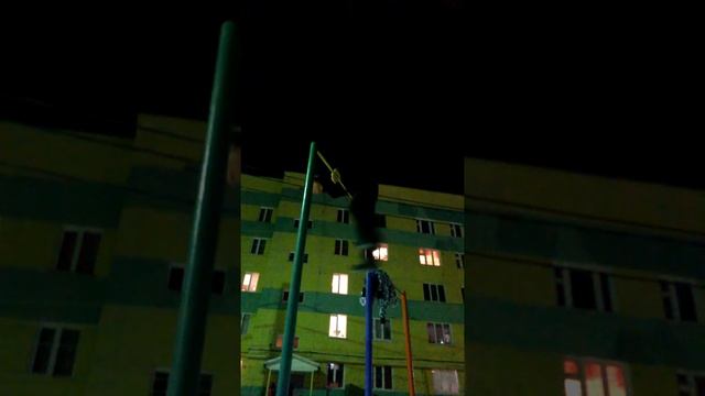 Флеш моб 10 подтягиваний смотреть онлайн