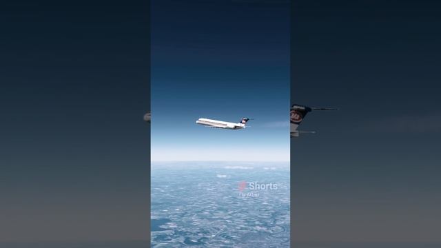 ЖЕСТЬ! ВЫЖИЛА ПОСЛЕ КРУШЕНИЯ САМОЛЕТА! АВИАКАТАСТРОФА DC-9! смотреть онлайн