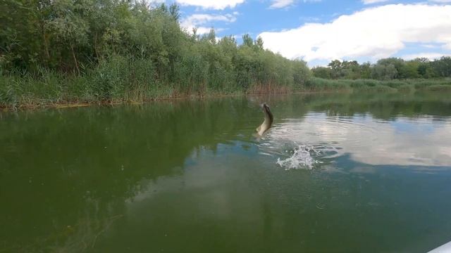 Микроджиг на озере с лодки. Попал на раздачу ОКУНЯ!!! смотреть онлайн