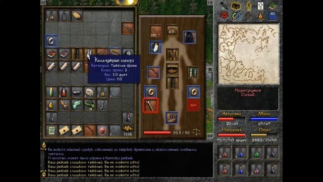 Eschalon Book 1 #7 Ядовитые саламандры смотреть онлайн