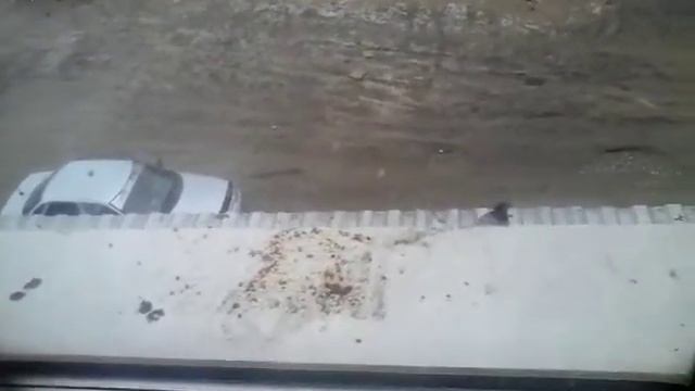 Голубки смотреть онлайн