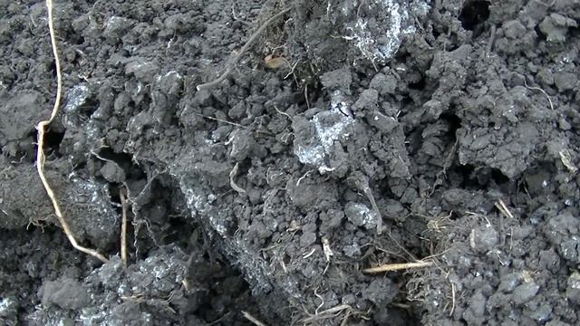 СТАЛА КОПАТЬ И ОБОМЛЕЛА ОТ КОЛИЧЕСТВА НАХОДОК в стертой временем деревне смотреть онлайн